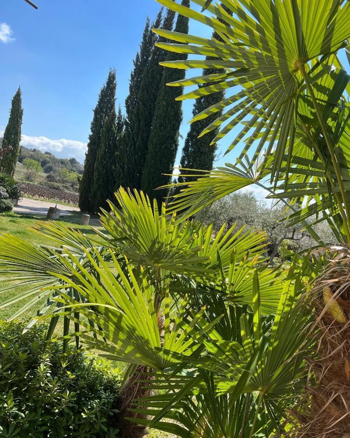 Domaine La Condamine Crillon Le Brave Hotel Exterior photo